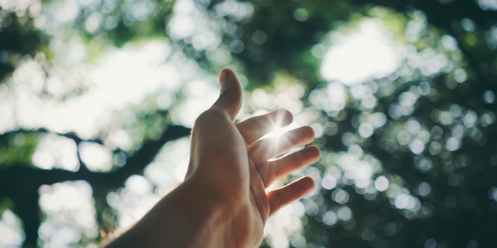The September Reset: Simple Mindful Habits to Reclaim Your Routine