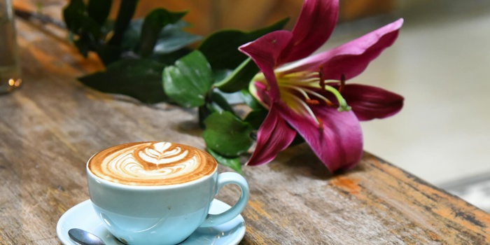 Quiet Mornings, Happy Evenings: Routines That Make Home Feel Like Home
