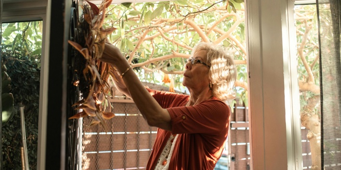Cozy Home, Clear Mind: Resetting Your Space for Calm This Holiday Season